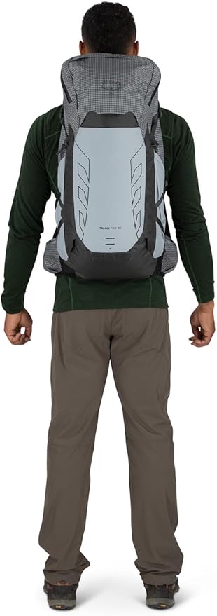 Osprey Talon Pro 30L Men's Hiking Backpack with Hipbelt, Silver Lining