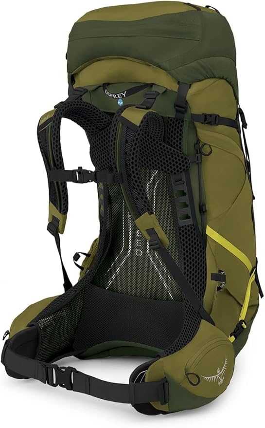 Osprey Atmos AG LT 50L Men's Backpacking Backpack, Scenic Valley/Green Peppercorn, L/XL