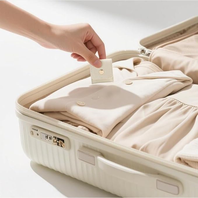 Mini Travel Jewelry Bag, 2025 New Travel Jewelry Case Organizer, Portable Foldable Compartment Auxiliary Mini Travel Jewelry Roll Bag With Buckle For Small Jewelry Earrings, Rings, Necklaces (G)