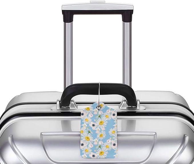 2 Pack Luggage Tag for Suitcase, Cute Unique Leather Suitcase Tags Identifiers with Privacy Name Address Labels & Durable Steel Loop for Women Men Travel