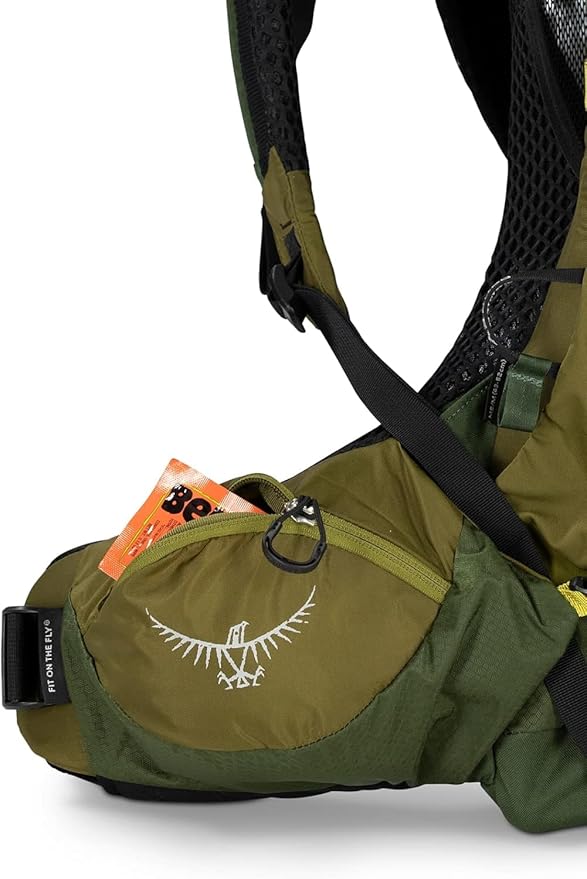 Osprey Atmos AG LT 50L Men's Backpacking Backpack, Scenic Valley/Green Peppercorn, L/XL