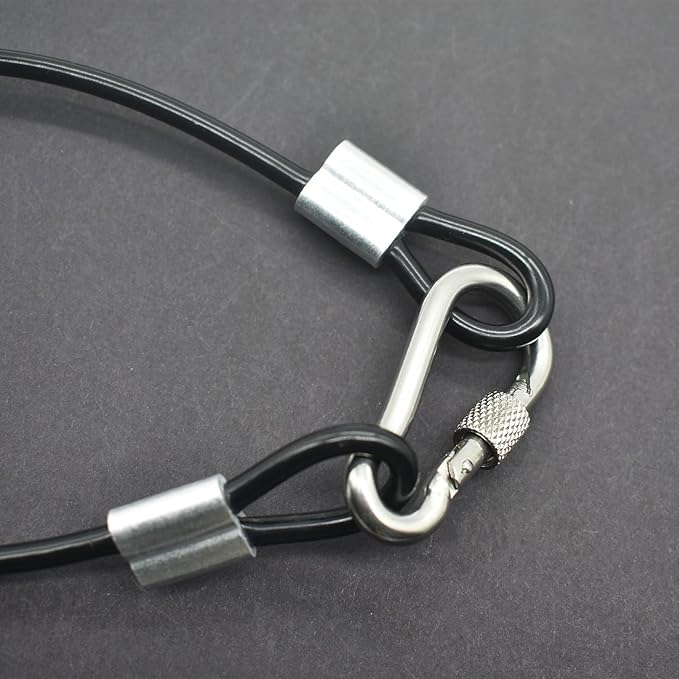 10 Pcs 2mm Wire 24 inch Vinyl Coated Stainless Steel Cable with Loops Short Wire Rope Lanyard Lock Security Chain Link for Outdoor Gates, Clear (2mm x 24inch)