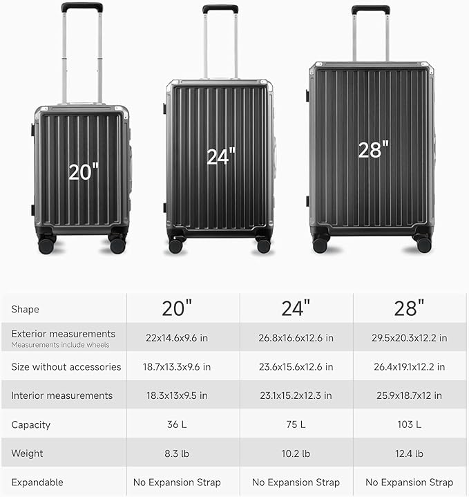 LUGGEX Carry On Luggage with Spinner Wheels, 20 Inch Aluminum Frame Zipperless Polycarbonate Hard Shell Suitcase, Charcoal Metallic