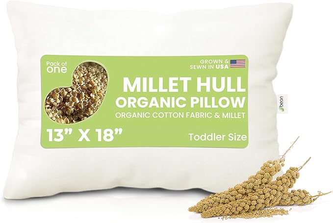 Bean Products Travel Bed Pillow for Sleeping – Organic Millet Fill with Organic Cotton Fabric, Soft Toddler Head Pillow – Eco-Friendly, Breathable, and Durable Sleep Aid, Made in The USA, 13" x 18"