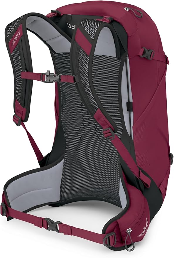 Osprey Hikelite 28L Unisex Hiking Backpack, Chameleon/Black, S/M