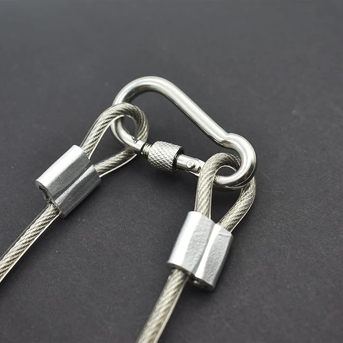 10 Pcs 4mm Wire 12 inch Vinyl Coated Stainless Steel Cable with Loops Short Wire Rope Lanyard Lock Security Chain Link for Outdoor Gates, Clear(4mm x 12inch)