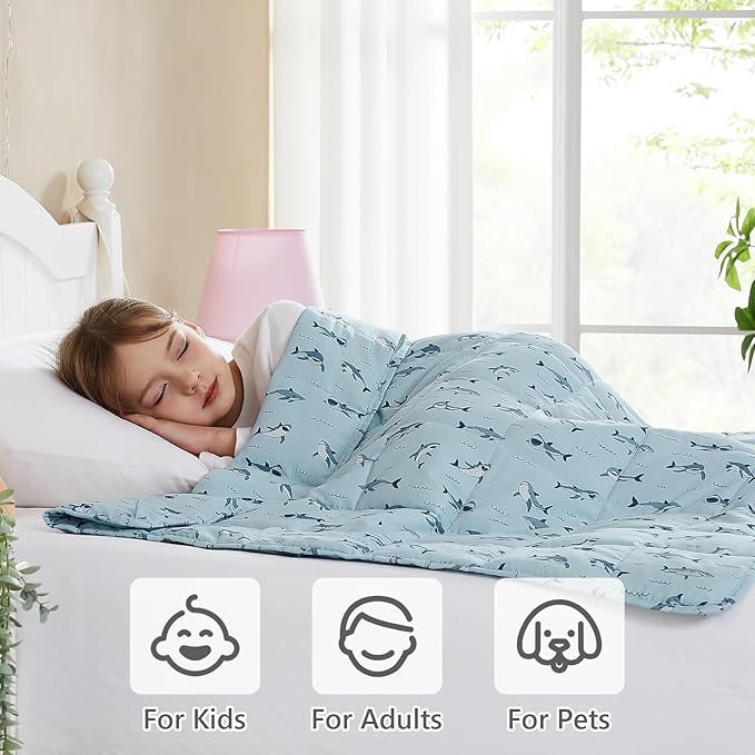 L'AGRATY Weighted Blanket - 40"x60" 10lbs Breathable Weighted Blanket Microfiber Material with Glass Beads