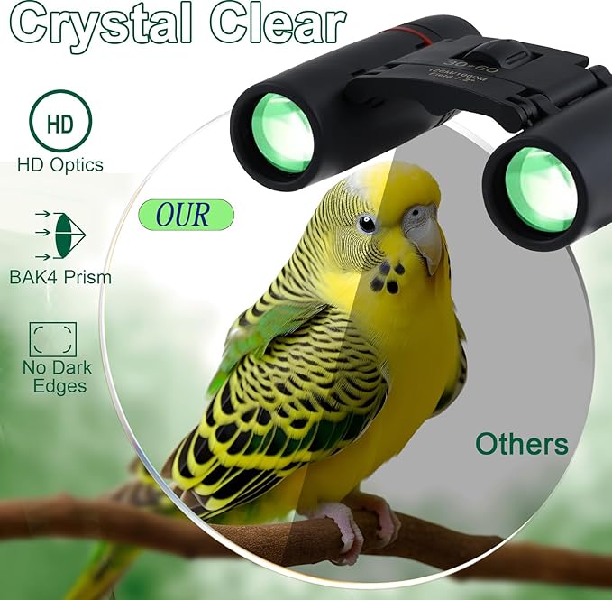 30x60 Binoculars for Adults and Kids,BAK4 Prism Waterproof Lightweight Foldable Easy Focus Small Compact Binoculars for Bird Watching, Hunting,Concerts,Travel,Hiking