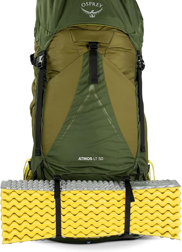 Osprey Atmos AG LT 50L Men's Backpacking Backpack, Scenic Valley/Green Peppercorn, S/M