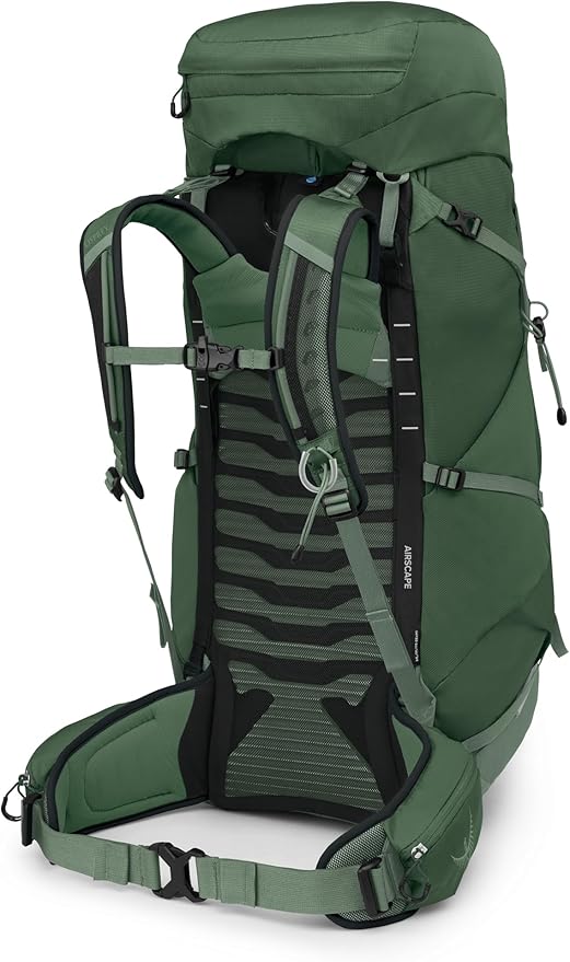 Osprey Talon 44L Men's Lightweight Hiking Backpack with Hipbelt, Green Canopy/Pine Leaf, S/M