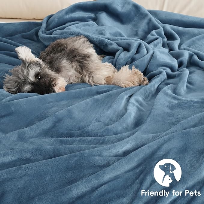 PHF Ultra Soft Fleece Blanket Queen Size, No Shed No Pilling Luxury Plush Cozy 300GSM Lightweight Blanket for Bed, Couch, Chair, Sofa Suitable for All Season, 90" x 90", Captain's Blue