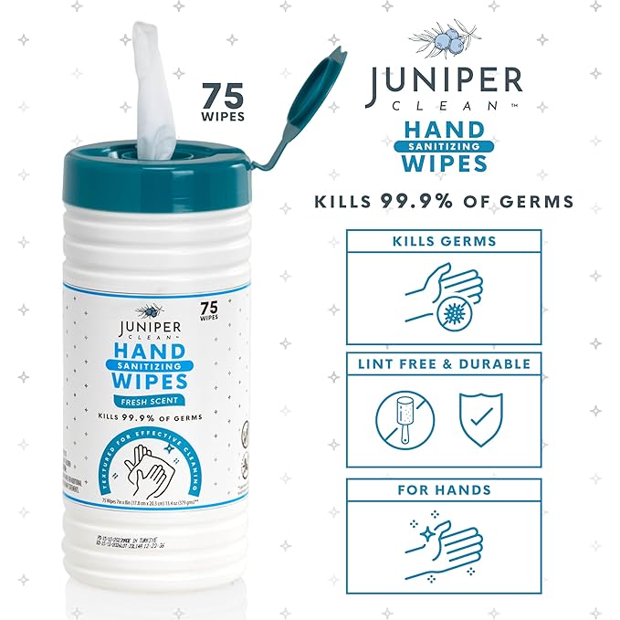 1 Pack Hand Sanitizing Wipes, Alcohol Free 75 Count Canister Disposable Hand Sanitizer Wipes, Fresh Scent, Lint Free & Durable