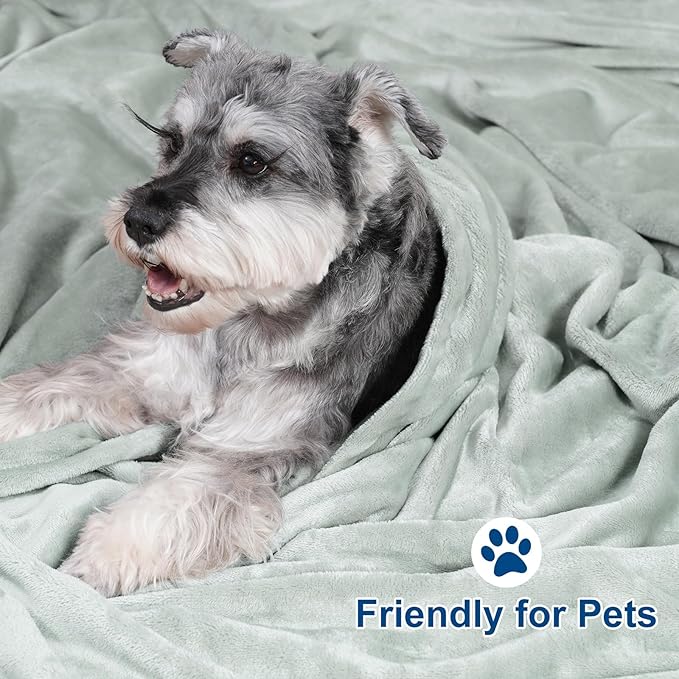 PHF Ultra Soft Fleece Blanket Queen Size, No Shed No Pilling Luxury Plush Cozy 300GSM Lightweight Blanket for Bed, Couch, Chair, Sofa Suitable for All Season, 90" x 90", Sage Green