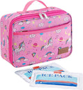 Lifewit Freezable Lunch Box, Insulated Reusable Lunch Bag with 2 Ice Packs, Mini Cooler Snack Bag for Bento Box for Salad, Sandwich, Snacks fo Men Women for Work, Pink 5L