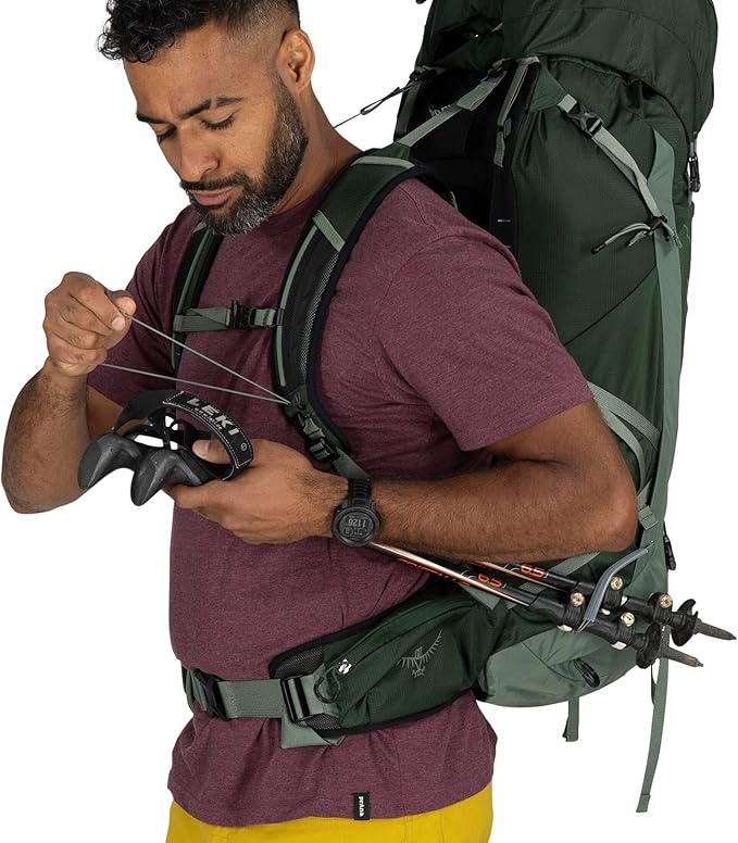 Osprey Talon 44L Men's Lightweight Hiking Backpack with Hipbelt, Green Canopy/Pine Leaf, S/M