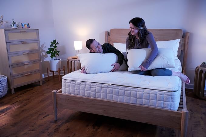 Naturepedic Organic Latex Pillow - Queen Bed Pillow with Soft Comfort - Luxury Pillow with Adjustable Fill for Comfortable Sleeping, Back Support and Neck Pain Relief